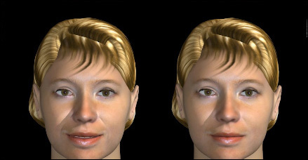 Expanding the Knowledge Base of an Interactive 3D Avatar