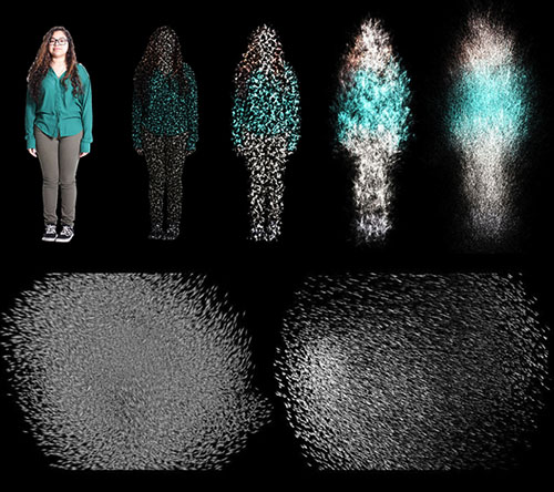 Large-Scale Particle Simulation on the GPU