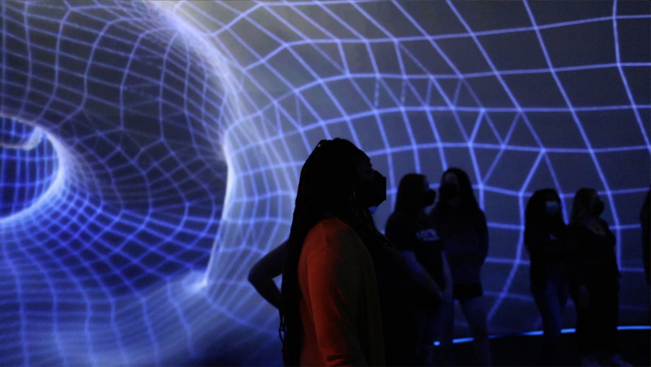 Screenshot of audience portrait visualization