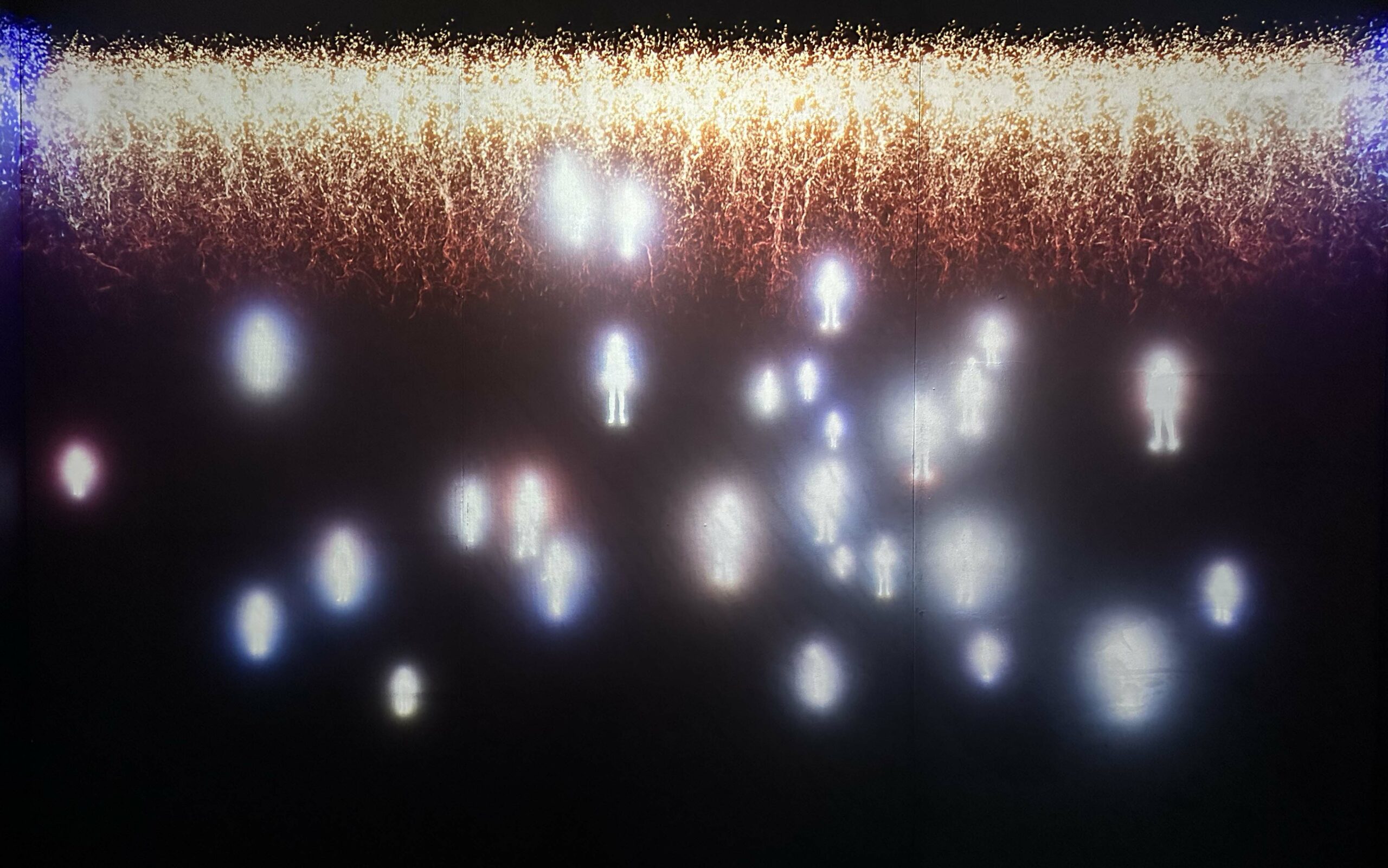 Mesh body visualization projected on gallery wall